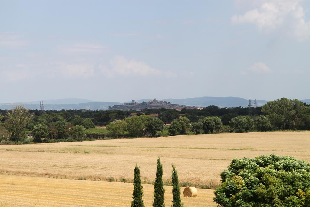 Agriturismo Verbena กัสติลโยเน เดล ลาโก ภายนอก รูปภาพ