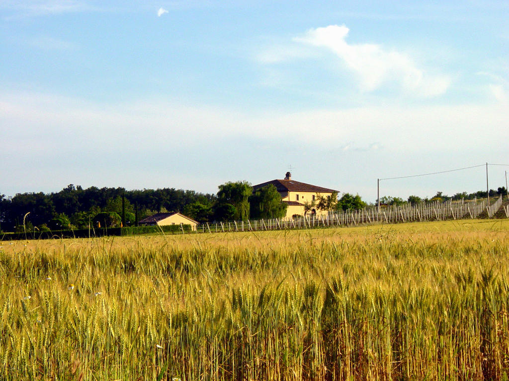 Agriturismo Verbena กัสติลโยเน เดล ลาโก ภายนอก รูปภาพ